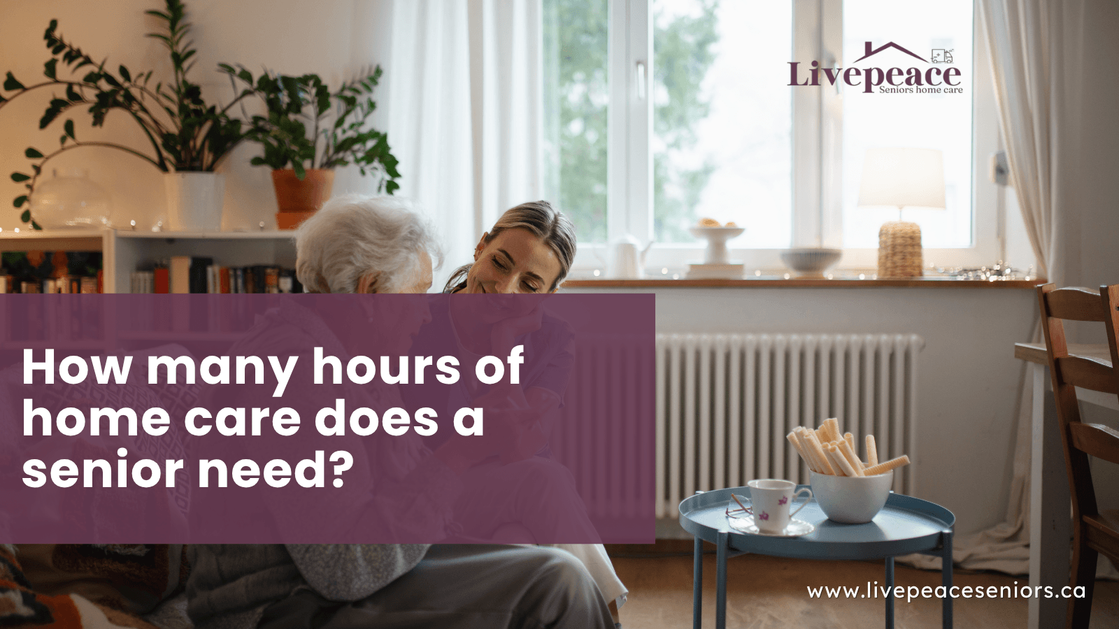 Caregiver with senior sitting on the couch in living room