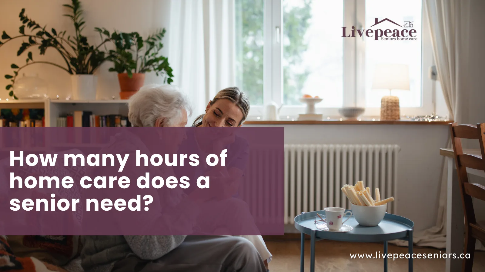 Caregiver with senior sitting on the couch in living room